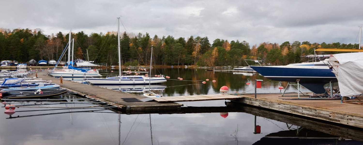 Dock Repair Lake Springfield IL 